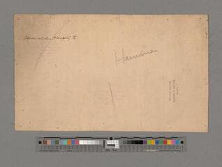 Go to image 245.