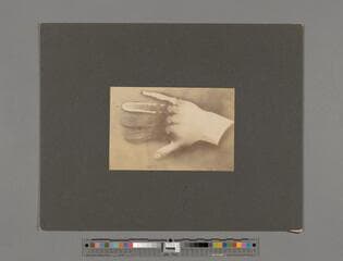 Go to image 9.