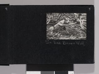 Go to image 7.