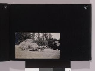 Go to image 47.
