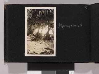 Go to image 72.