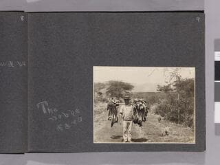 Go to image 11.