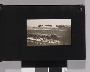Go to image 19.