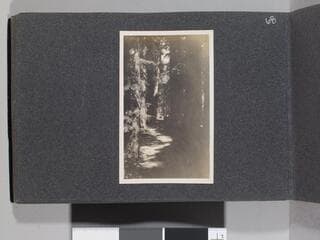 Go to image 70.