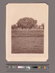 Go to image 1.