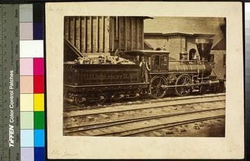 Alexandria Yard