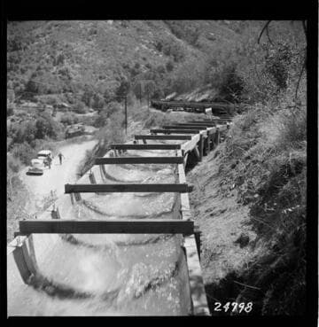 Kaweah #1