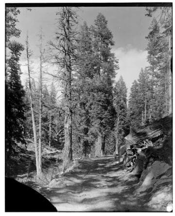 Big Creek Scenery