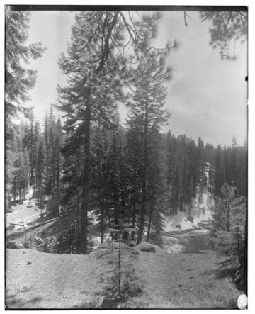 Big Creek Scenery
