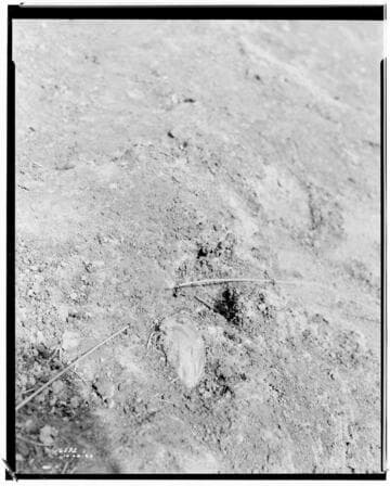 Distribution Lines