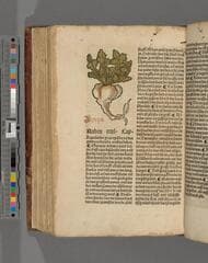 Go to image 372.