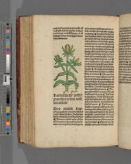 Go to image 444.
