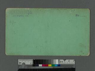 Go to image 2.