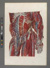 Go to image 285.