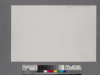 Go to image 2.