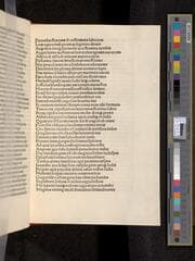 Go to image 99.