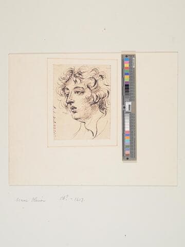 Head of a Youth