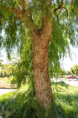 Go to image 6.