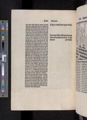 Go to image 230.