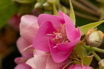 Go to image 13.