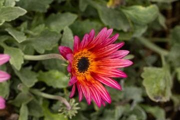 Go to image 6.
