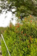 Go to image 7.