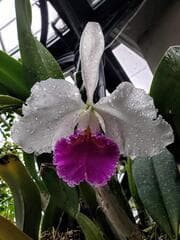 Go to image 5.