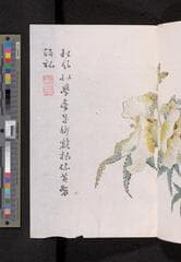 Go to image 129.