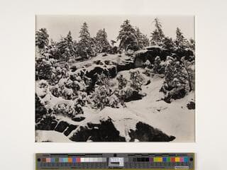 Go to image 1.