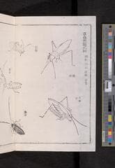 Go to image 86.