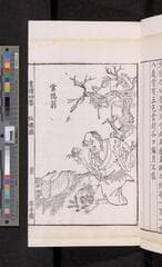 Go to image 159.
