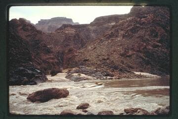 Topping Tuna Rapids