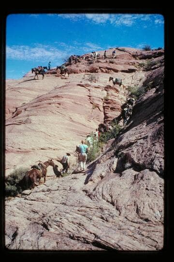 Trail north of 71.5