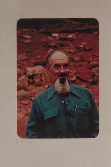 Harry Aleson