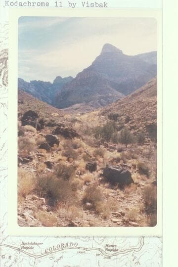 Upper end of Cottonwood Canyon. No water
