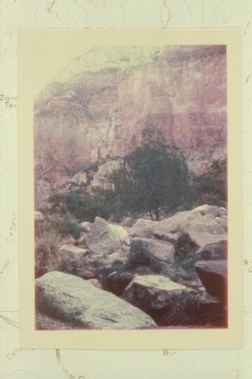 Cheyava Fall