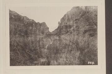 Up Kwagunt Canyon