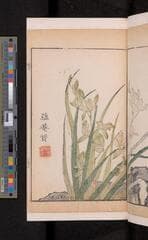Go to image 103.