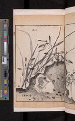 Go to image 119.