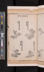 Go to image 103.