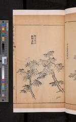 Go to image 127.