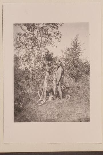 Nau-no-kwits and his eagle. Uinta Valley on the eastern slope of the Ute tribe, Wasatch Mountains, Utah. Powell Expedition, 1873. Powell Cat. says 1874