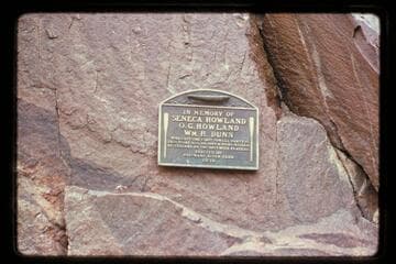Plaque; Separation