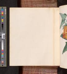 Go to image 141.