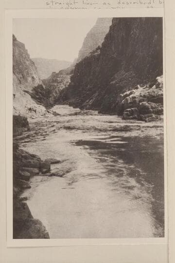 Separation Rapid