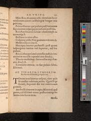 Go to image 359.