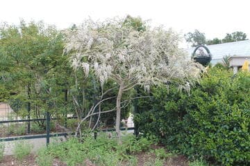 Go to image 3.
