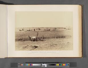 Go to image 45.