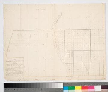 Map of the tract of land of the Cucamonga Homestead Association