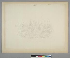 Go to image 132.